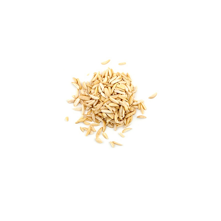 AVENA FORRAJERA