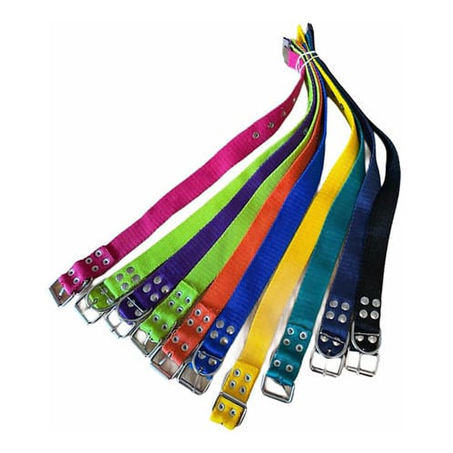 COLLARES PARA PERROS