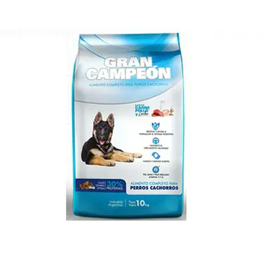 Gran Campeón Cachorro
