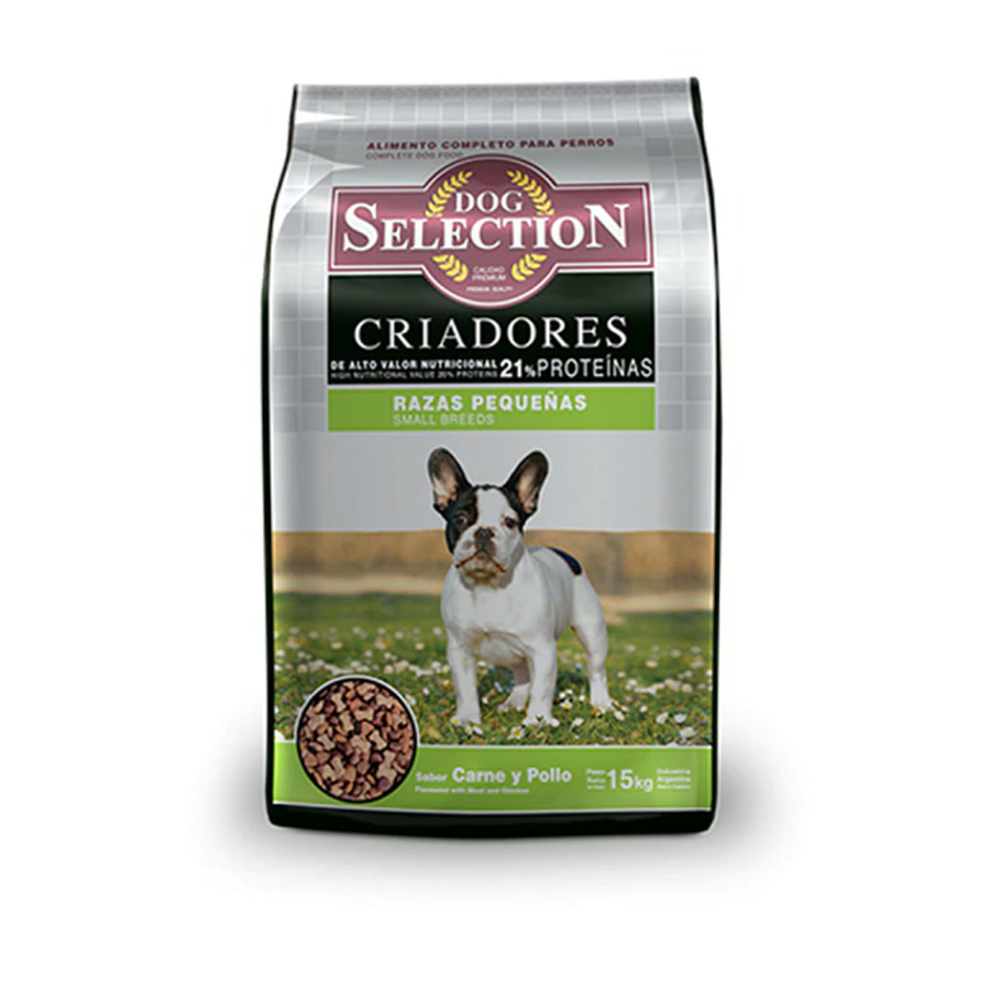 Dog Seleccion Criadores Raza Pequeña