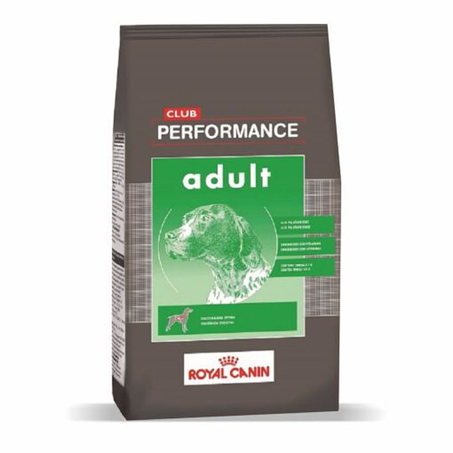 Performance Adulto
