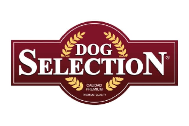 Dog Seleccion