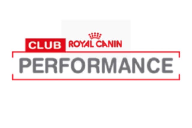 Performance
