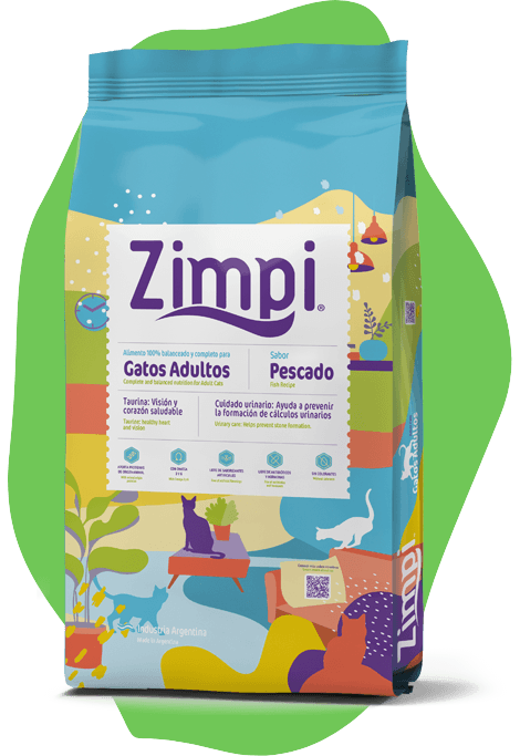 Zimpi Gato