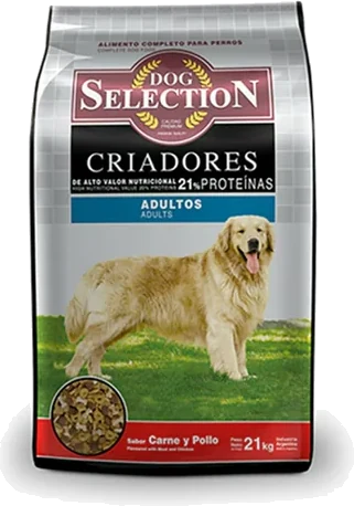 Ds criadores adulto x 21 kg