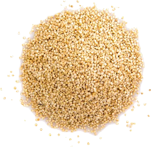 Quinoa