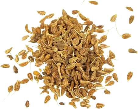 Anis en grano