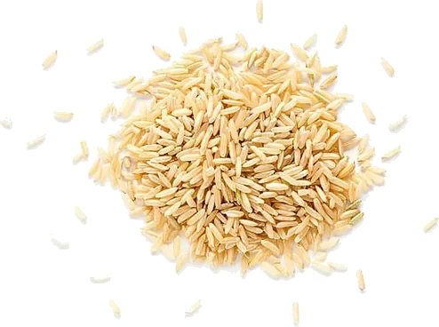 Arroz integral