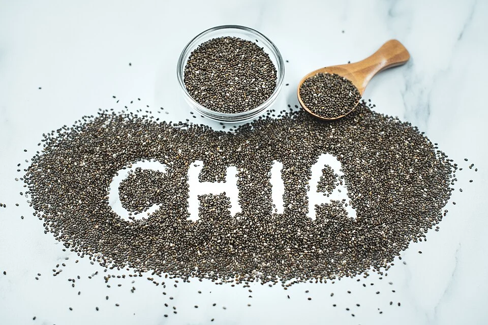 Chía