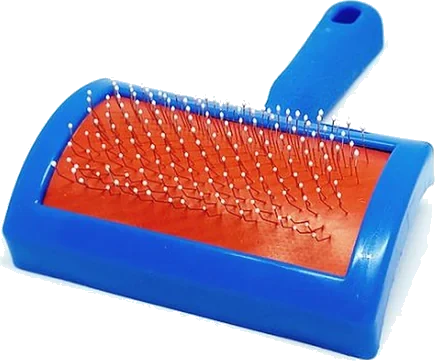 Cardina plastica mediana