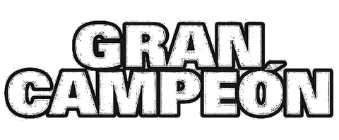 Gran Campeón