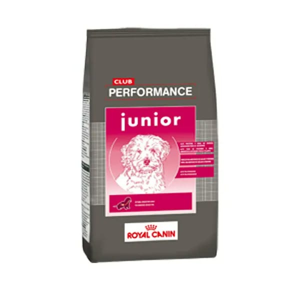 PERFORMANCE CACHORRO