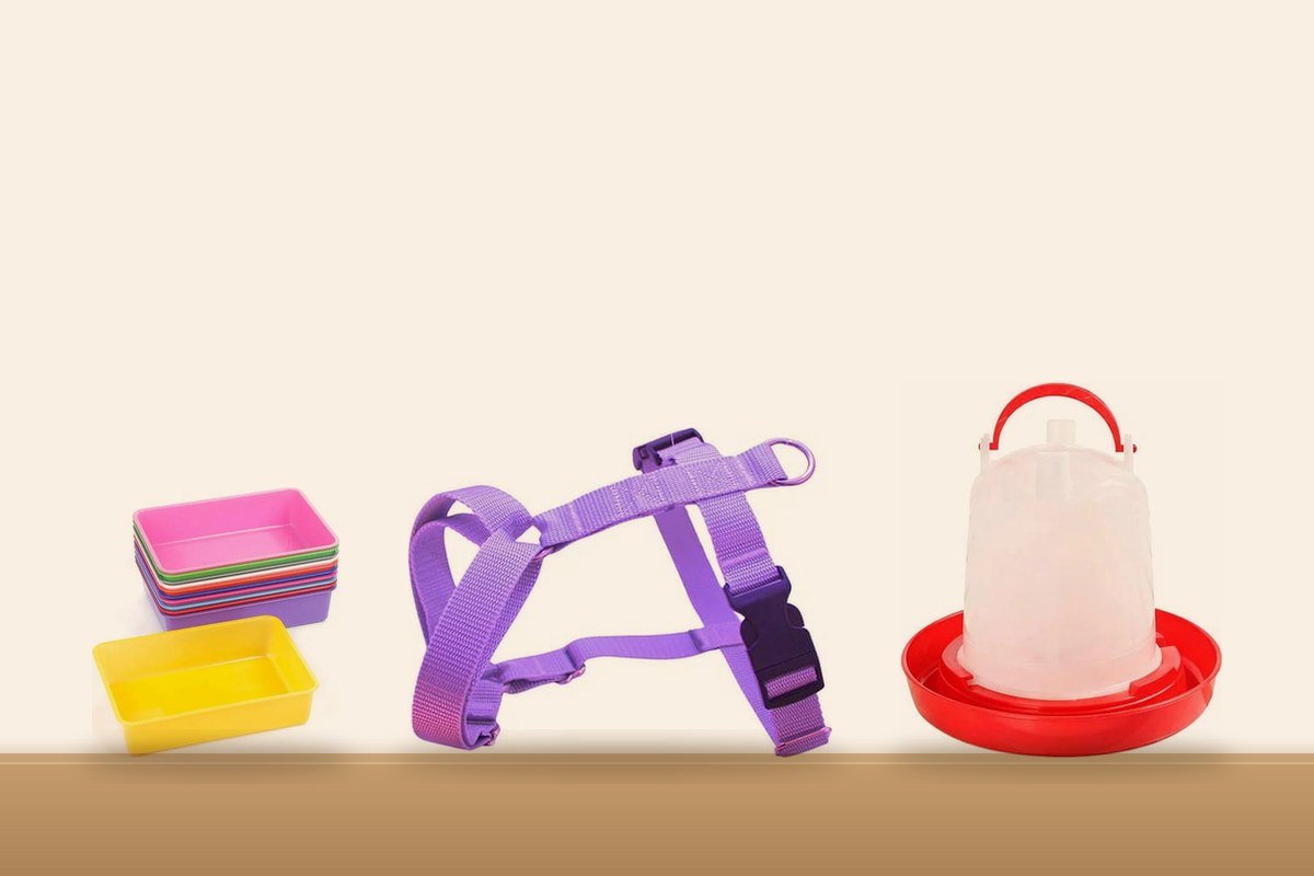 Productos de Accesorios
