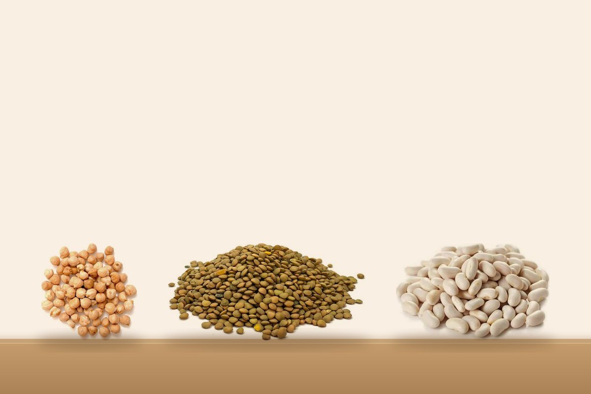 Productos de Legumbres
